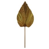 Leaf fan M 40x1x100cm