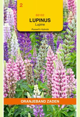 lupinus russel s mix 2g