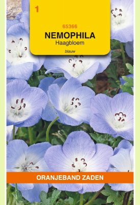 nemophila insignis hemelsblauw 1g