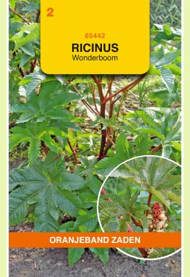 ricinus communis mix 5g