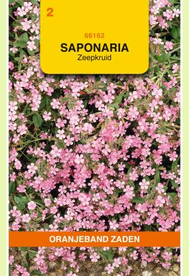 saponaria ocymoides rose 0.5g