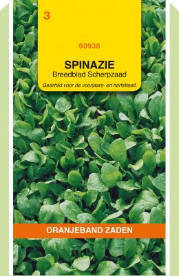 spinazie breedblad scherpzaad 50g