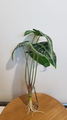 artificial alocasia with roots 40cm