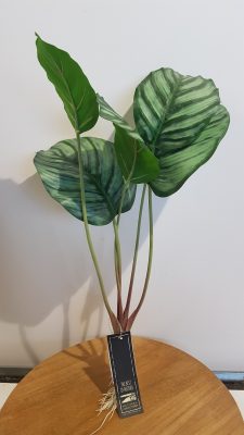 artificial calathea with roots 40cm