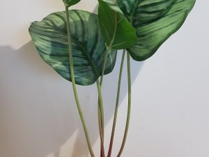 Artificial Calathea with roots 40cm