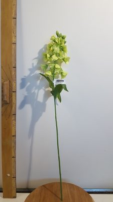 fritillaria l69cm groen