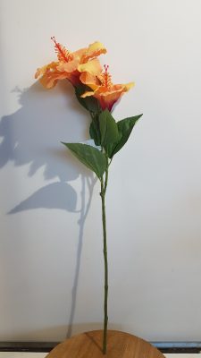 hibiscus l65cm zalm
