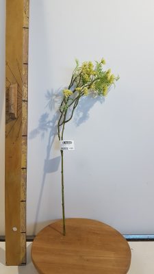 Wildwortel l60cm groen
