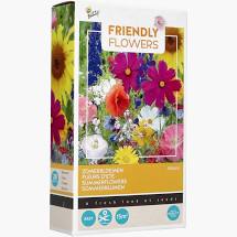 Buzzy® Friendly Flowers Zomerbloemen 15m² (16)