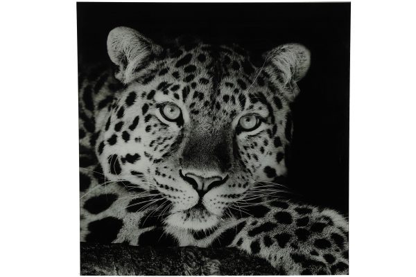 Schilderij luipaard A vk Wild life L zwart/wi