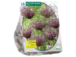 Allium miami per 15