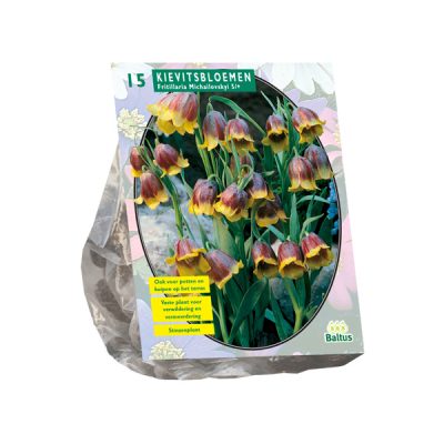 fritillaria michailovskyi per 15