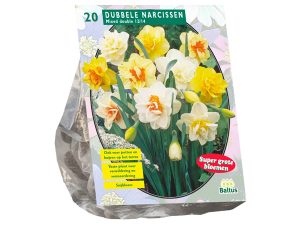 Narcissus dubbel mix 20st