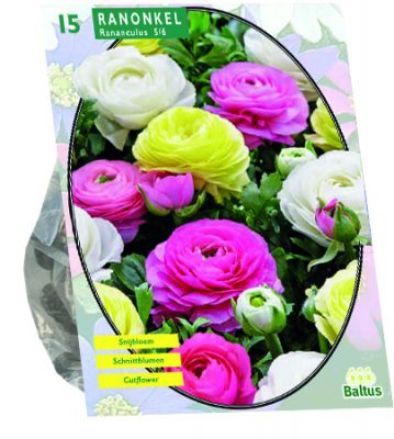 ranonkel, pastel mix per 15