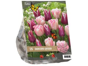 Urban Flowers - Dancing queen per 15