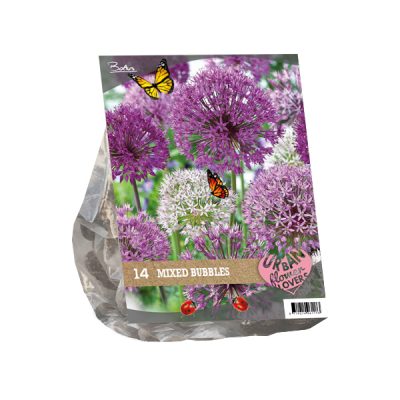 urban flowers – mixed bubbles per 14