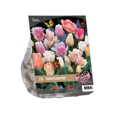 urban flowers – pink pleasure per 15