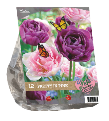 urban flowers – pretty in pink per 12