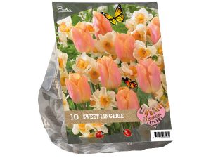 Urban Flowers - Sweet lingery per 10