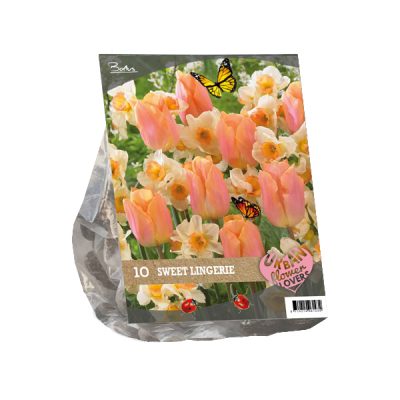 urban flowers – sweet lingery per 10