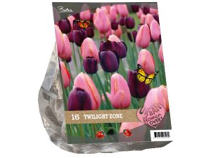 Urban Flowers - Twilight zone per 16