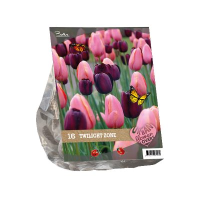 urban flowers – twilight zone per 16
