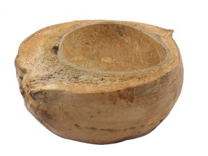 Basic Coconut Half D18-20