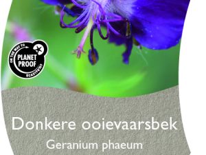 (WI) Geranium phaeum