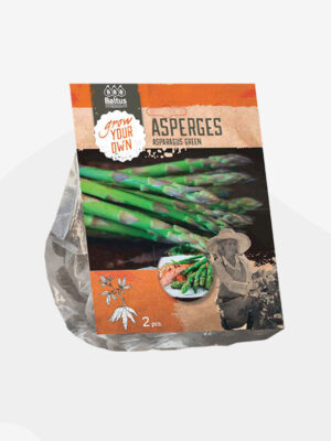 asparagus groen 2st