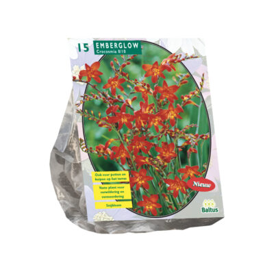 crocosmia emberglow 15st