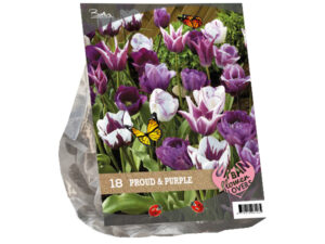 Urban Flowers - Proud & Purple per 18