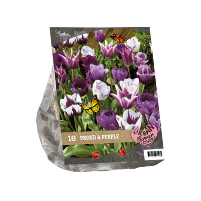 urban flowers – proud & purple per 18