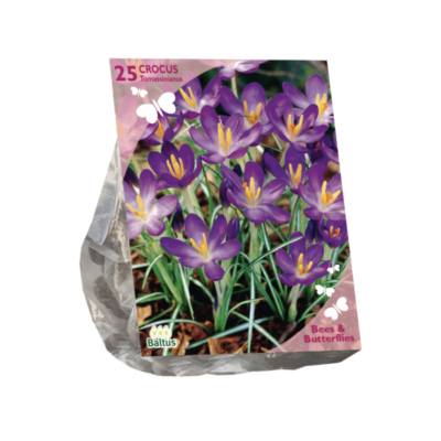 b&b – crocus tommasinianus mix 25st