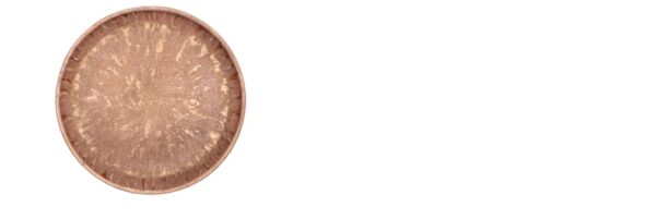 dubai brushed copper plate 42x6cm nm