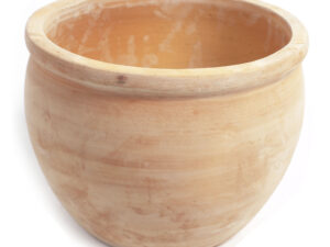 Whitewash Delta D21H16