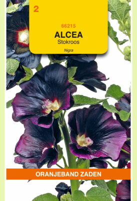 alcea rosea nigra 0.5g