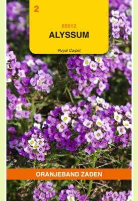 alyssum royal carpet 0.5g