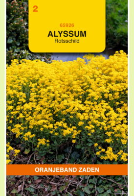 alyssum saxatile compactum gl 0.3g