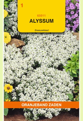alyssum sneeuwkleed 0.5g