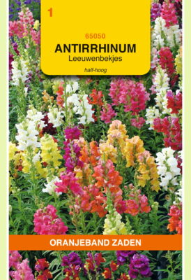 antirrhinum majus nanum mix 0.5g