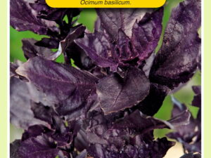 Basilicum dark opal 1.5g