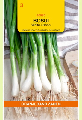 OBZ Bosui White Lisbon