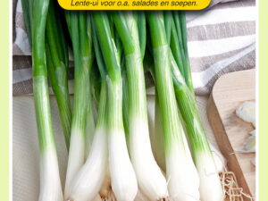 Bosui white lisbon 4g