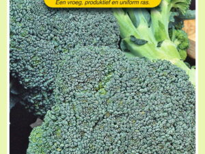 Broccoli calabria 2g