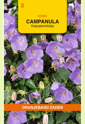 campanula carpatica blauw 0.25g