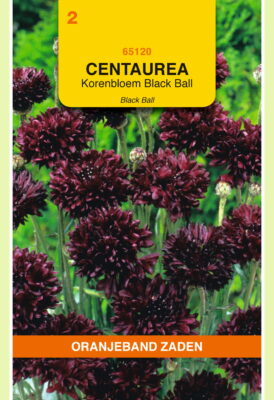 centaurea cyanus black boy 1.5g