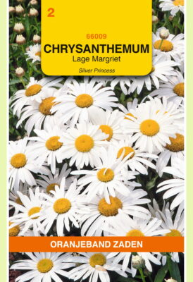 chrysanthemum little princess 0.5g
