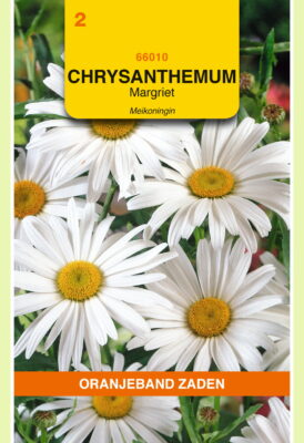 chrysanthemum meikoningin 0.75g