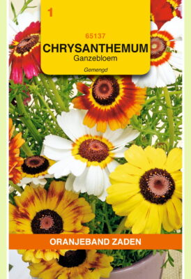 chrysanthemum regenboog mix 1g