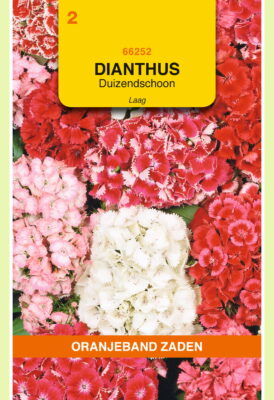 dianthus barbatus laag mix 0.5g